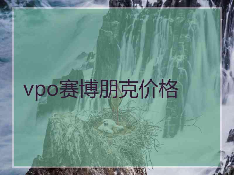 vpo赛博朋克价格