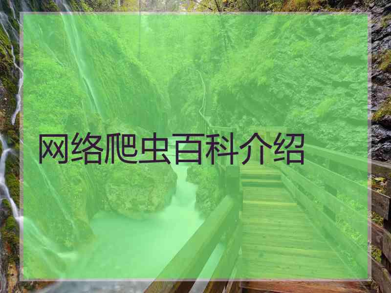 网络爬虫百科介绍