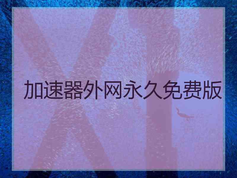 加速器外网永久免费版