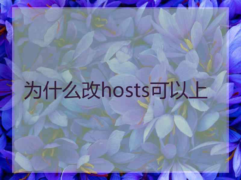 为什么改hosts可以上