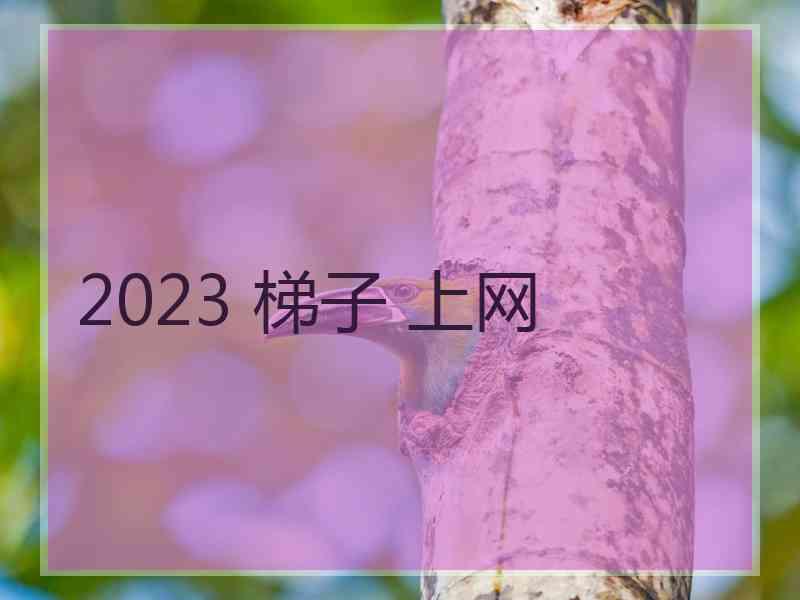 2023 梯子 上网