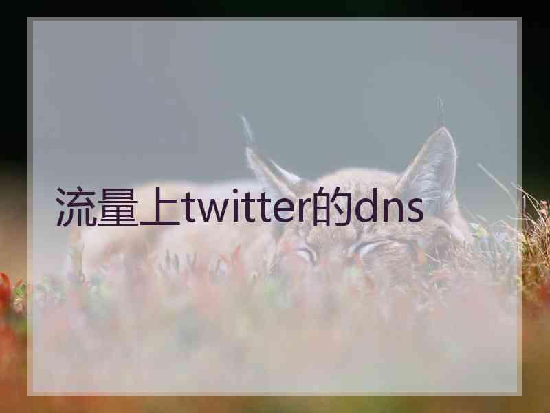 流量上twitter的dns