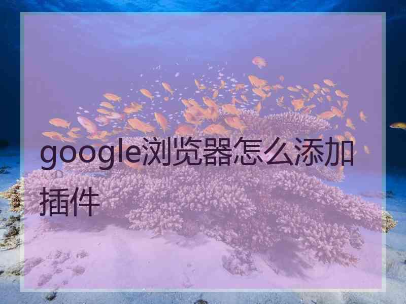 google浏览器怎么添加插件