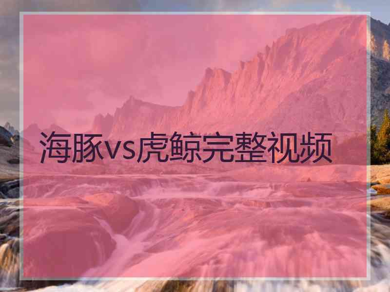 海豚vs虎鲸完整视频