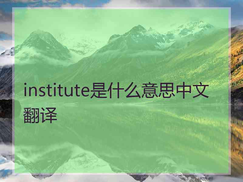 institute是什么意思中文翻译