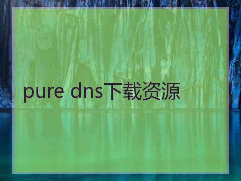 pure dns下载资源