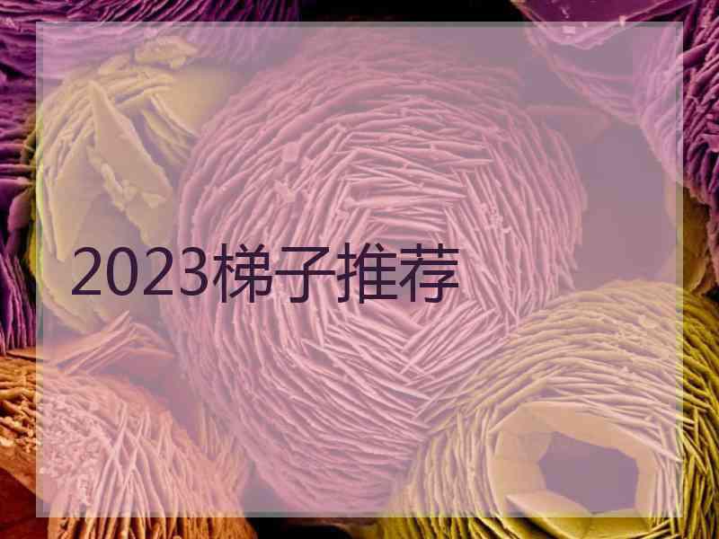 2023梯子推荐