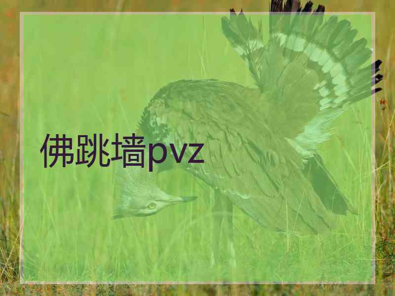 佛跳墙pvz