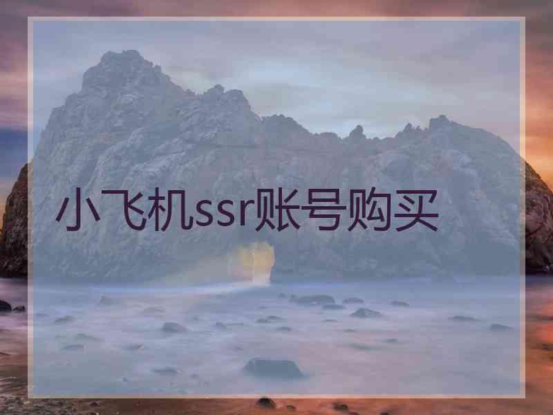 小飞机ssr账号购买