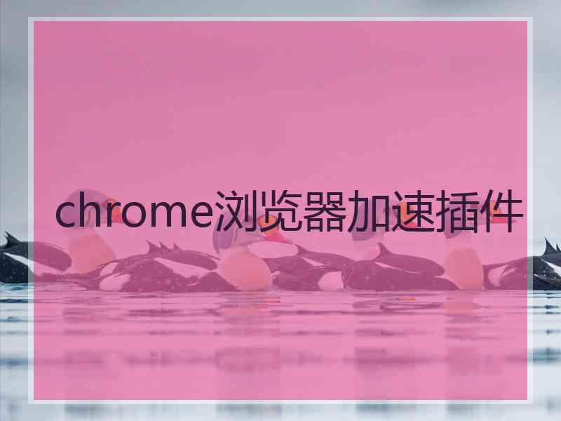 chrome浏览器加速插件