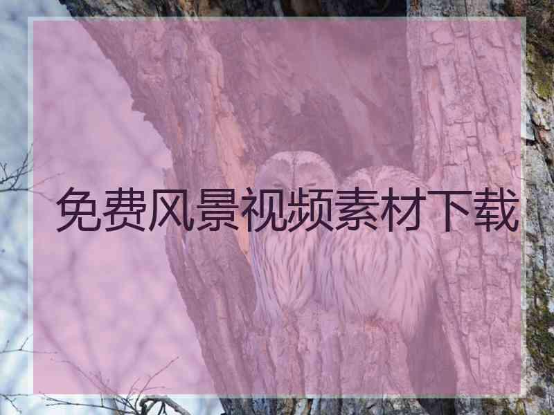 免费风景视频素材下载