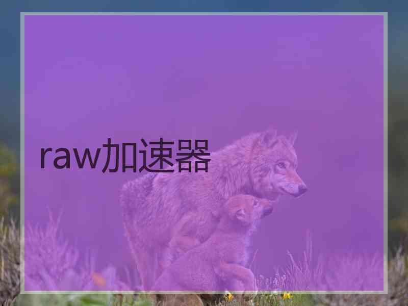 raw加速器