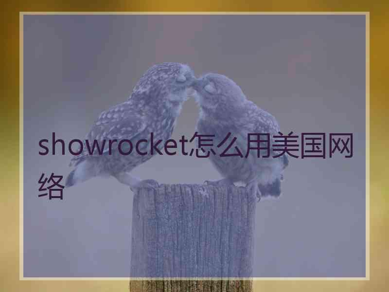 showrocket怎么用美国网络