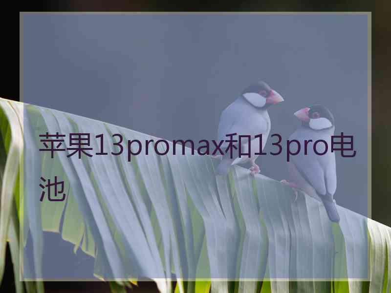 苹果13promax和13pro电池