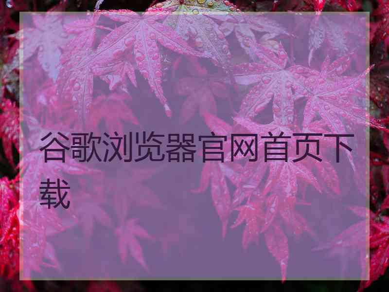 谷歌浏览器官网首页下载