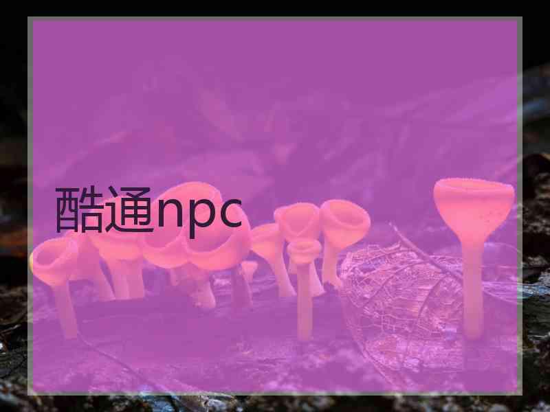 酷通npc