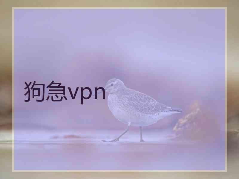 狗急vpn