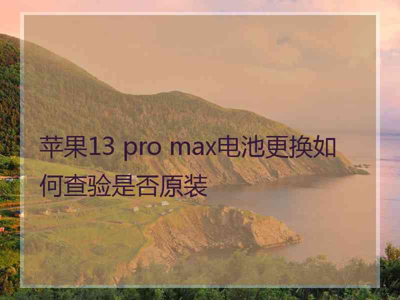 苹果13 pro max电池更换如何查验是否原装