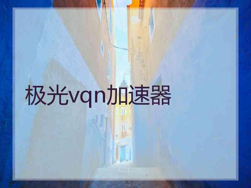 极光vqn加速器