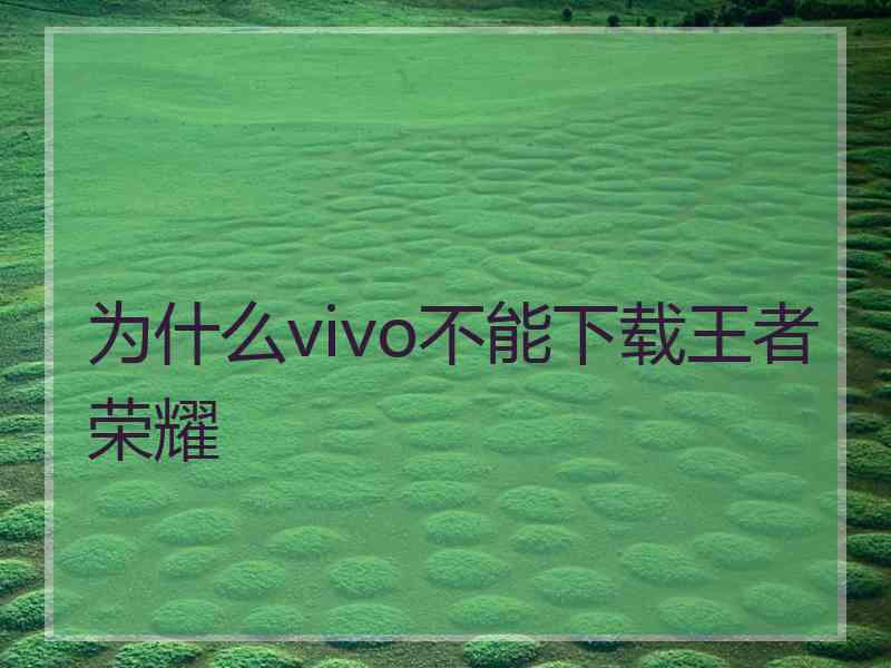 为什么vivo不能下载王者荣耀