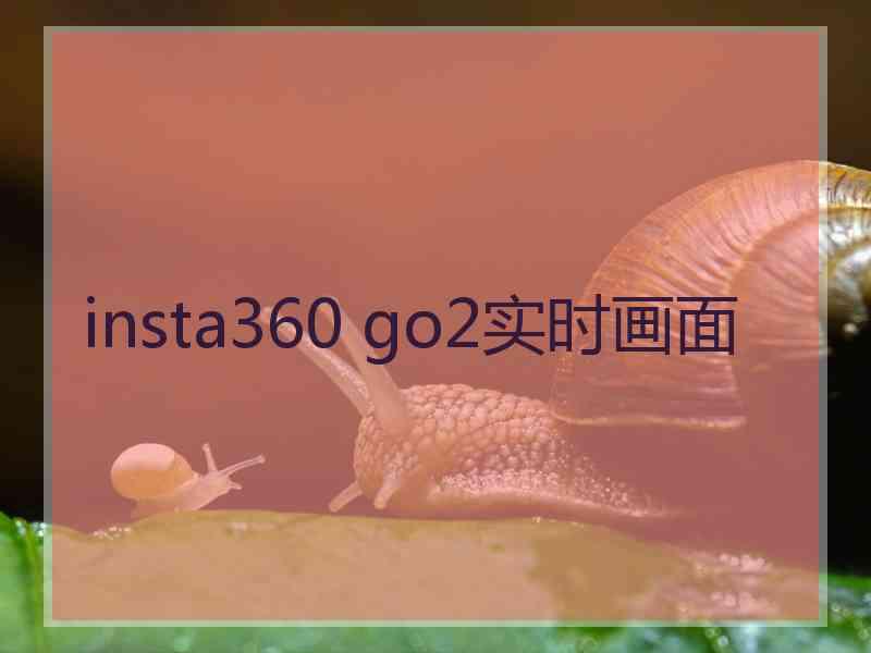 insta360 go2实时画面