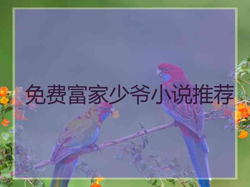 免费富家少爷小说推荐