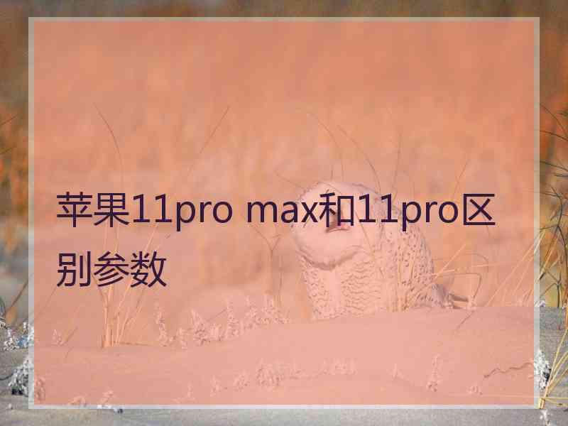 苹果11pro max和11pro区别参数