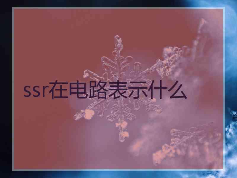 ssr在电路表示什么