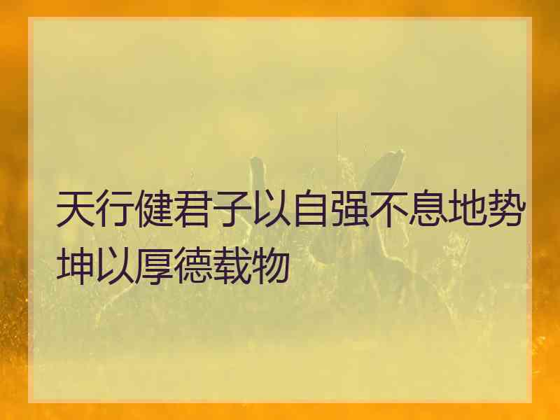 天行健君子以自强不息地势坤以厚德载物