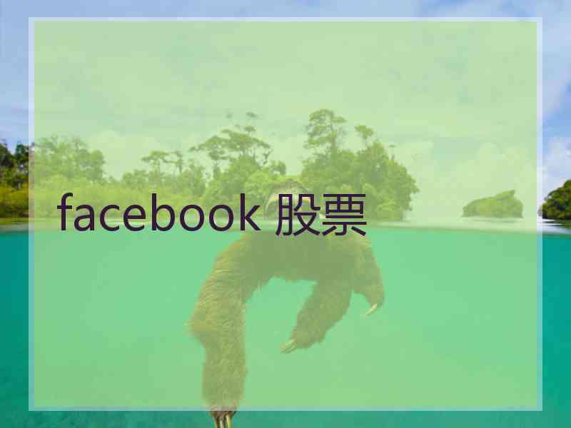 facebook 股票