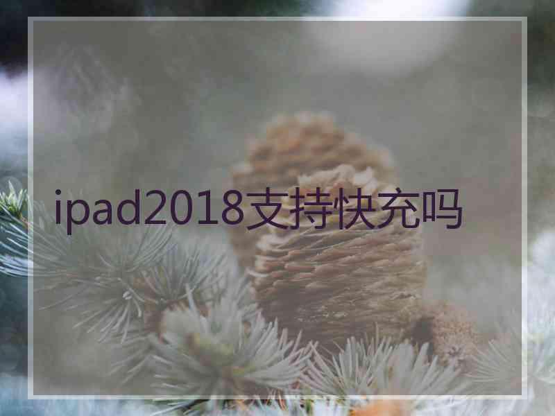 ipad2018支持快充吗