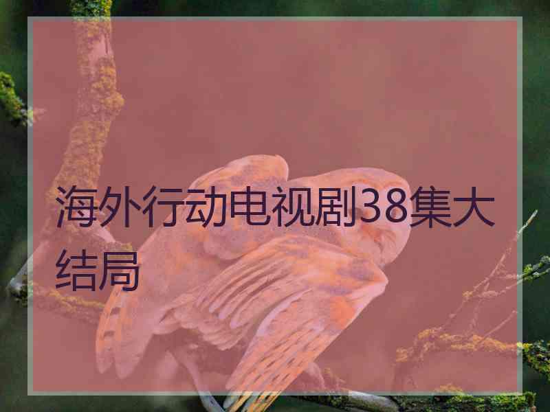 海外行动电视剧38集大结局