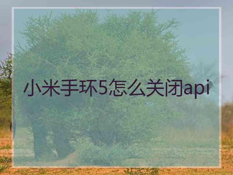 小米手环5怎么关闭api