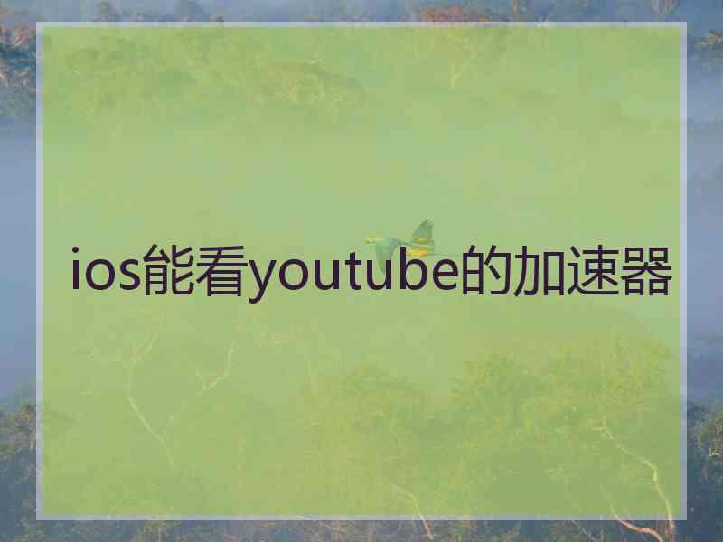 ios能看youtube的加速器