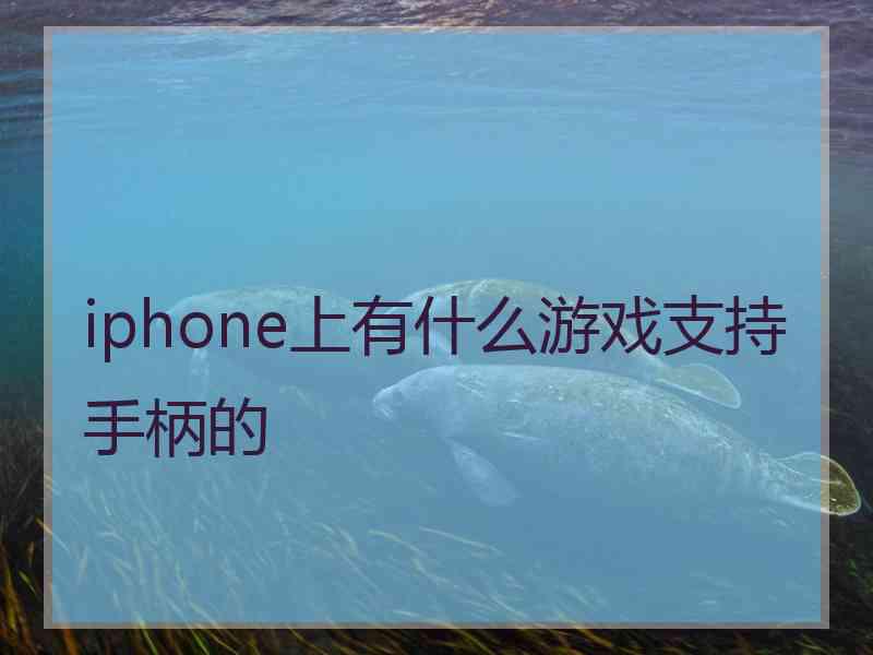 iphone上有什么游戏支持手柄的