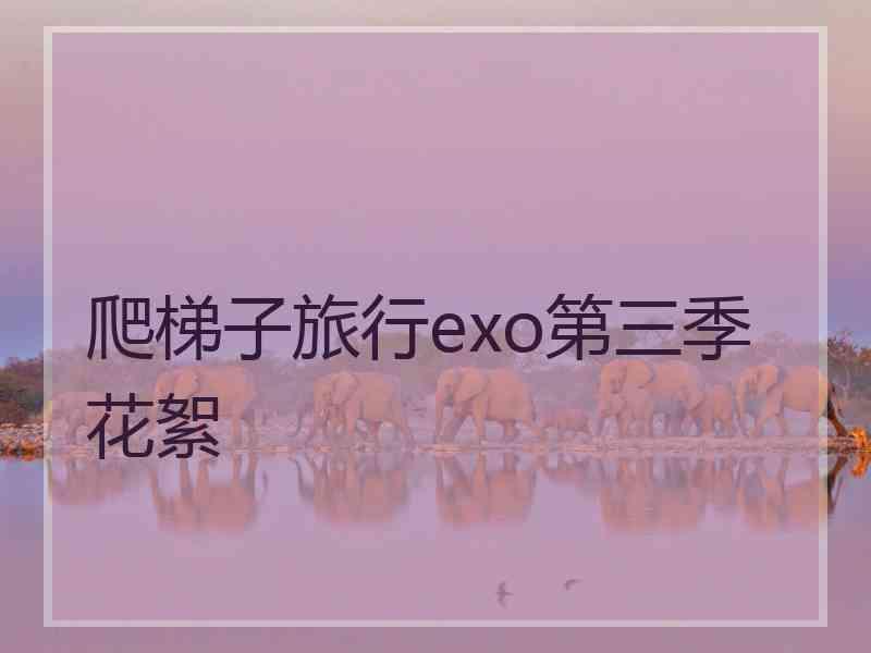 爬梯子旅行exo第三季花絮