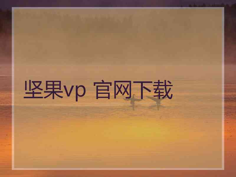 坚果vp 官网下载