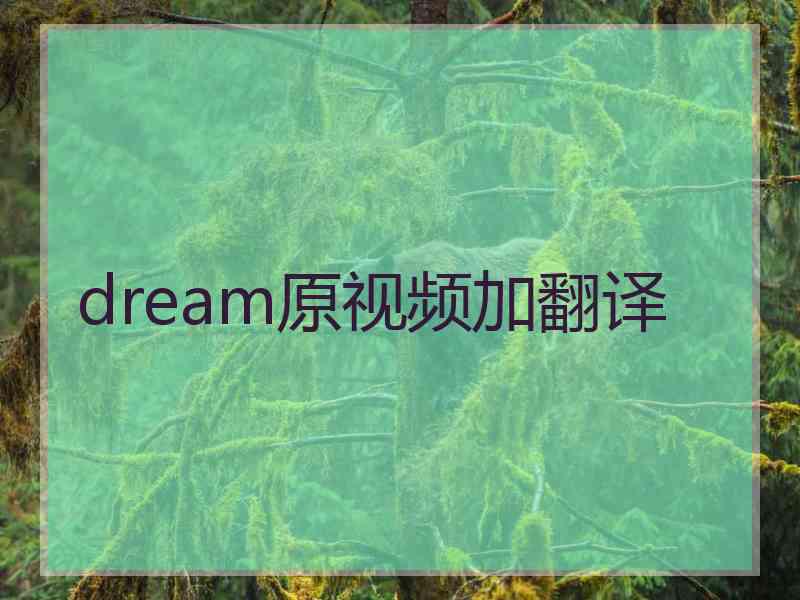 dream原视频加翻译