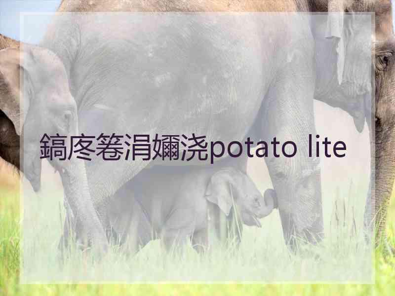 鎬庝箞涓嬭浇potato lite