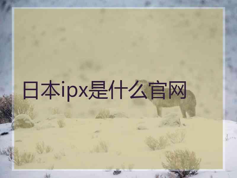 日本ipx是什么官网