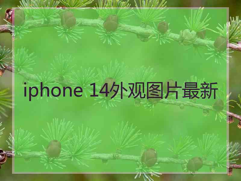 iphone 14外观图片最新