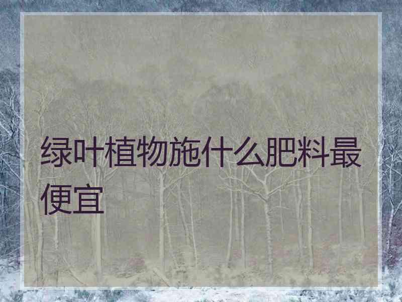 绿叶植物施什么肥料最便宜