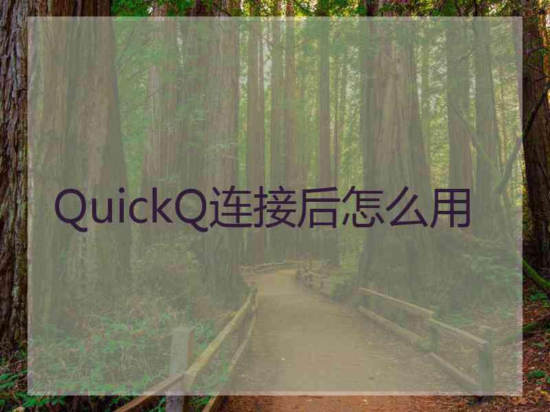 QuickQ连接后怎么用