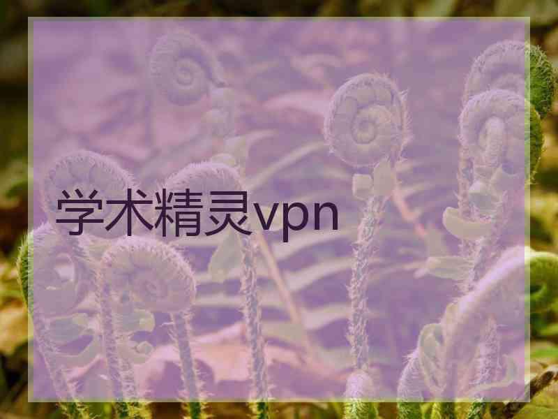 学术精灵vpn