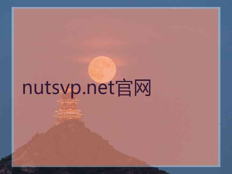 nutsvp.net官网