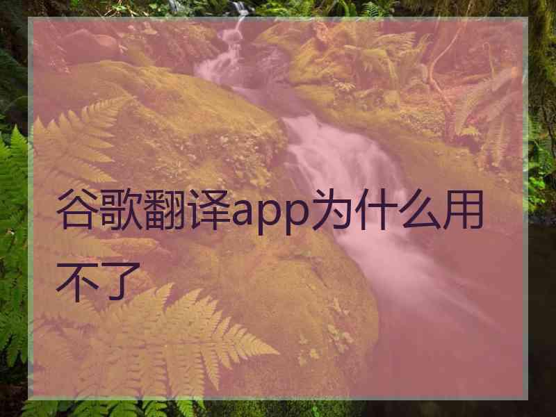 谷歌翻译app为什么用不了