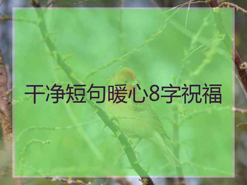 干净短句暖心8字祝福