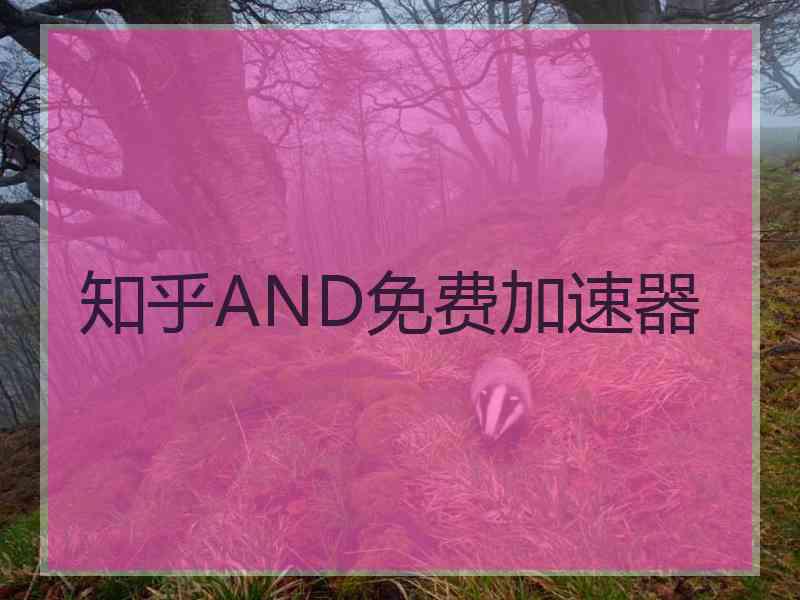 知乎AND免费加速器