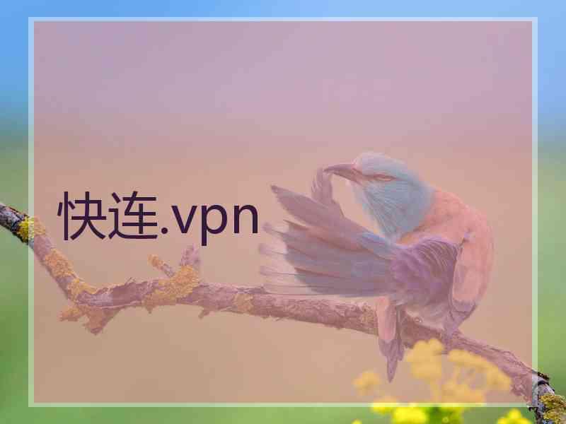 快连.vpn