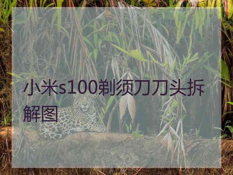 小米s100剃须刀刀头拆解图